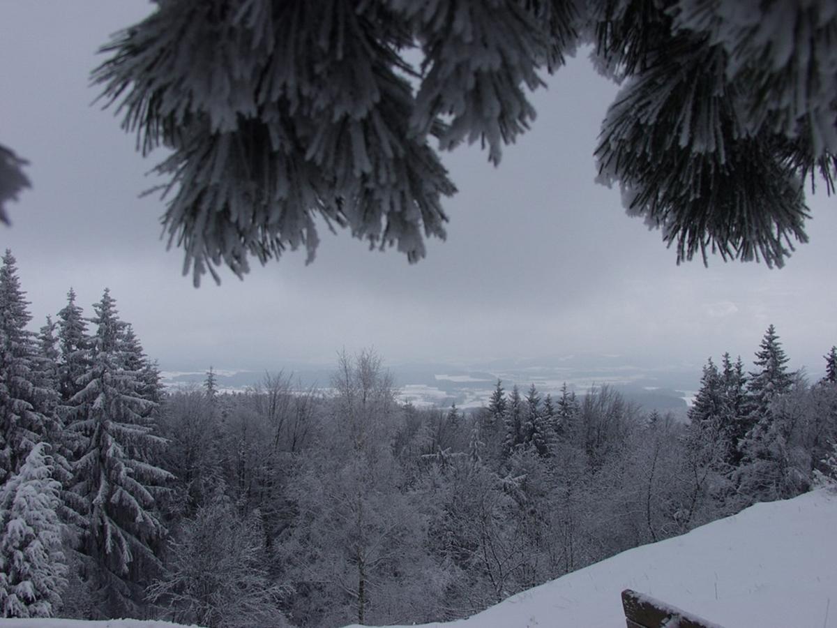 Steiner Wirt Hotel Tiefenbach  Buitenkant foto