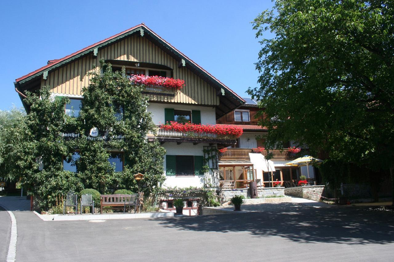 Steiner Wirt Hotel Tiefenbach  Buitenkant foto